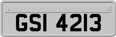 GSI4213