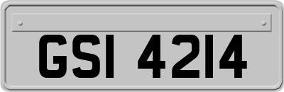 GSI4214