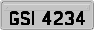 GSI4234