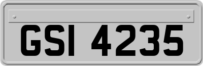 GSI4235