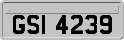 GSI4239