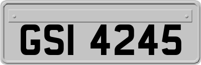 GSI4245