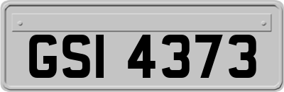 GSI4373