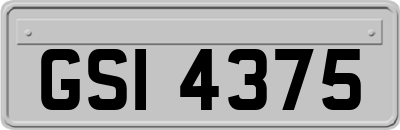 GSI4375