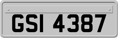 GSI4387