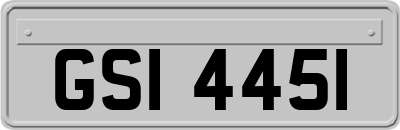 GSI4451