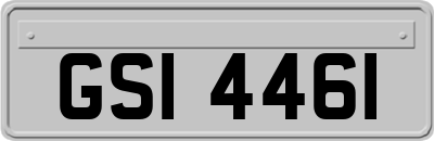 GSI4461
