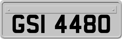 GSI4480