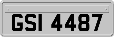 GSI4487