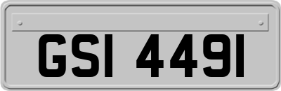 GSI4491