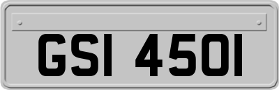 GSI4501