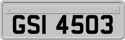 GSI4503
