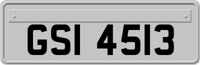 GSI4513