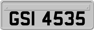 GSI4535