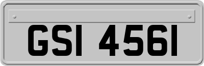 GSI4561