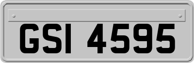 GSI4595