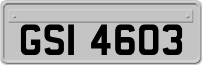 GSI4603