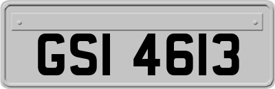 GSI4613