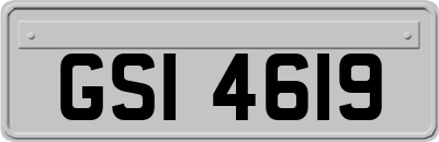 GSI4619