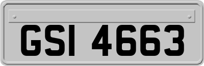 GSI4663