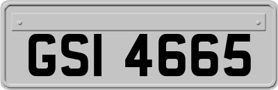 GSI4665