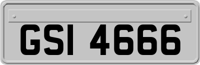 GSI4666