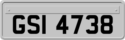 GSI4738