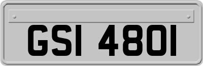 GSI4801