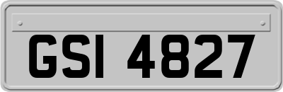 GSI4827
