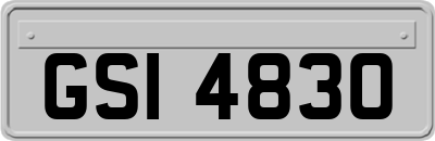 GSI4830