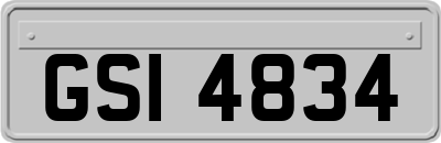 GSI4834
