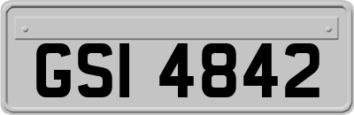 GSI4842