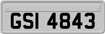 GSI4843