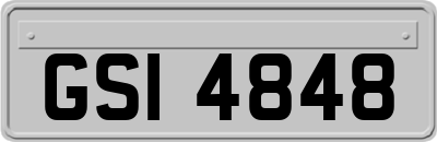 GSI4848