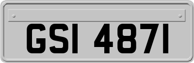 GSI4871