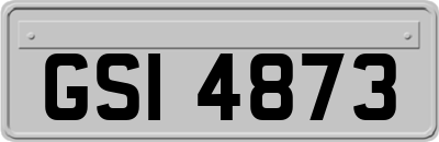 GSI4873