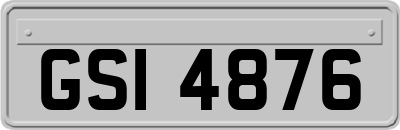 GSI4876