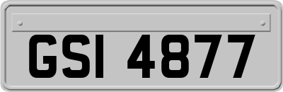 GSI4877