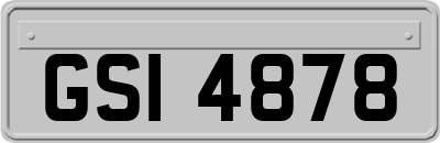 GSI4878