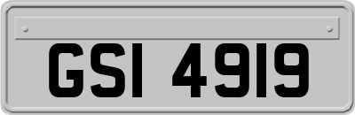 GSI4919