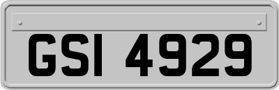 GSI4929