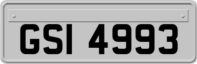 GSI4993