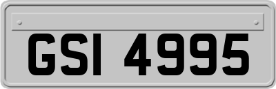GSI4995