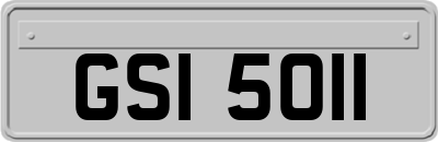 GSI5011