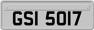 GSI5017