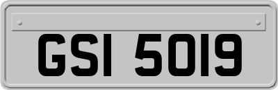 GSI5019