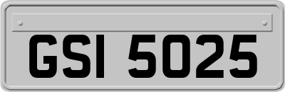 GSI5025