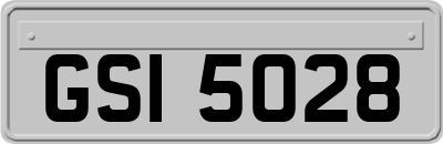 GSI5028