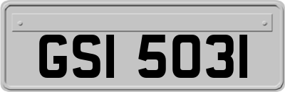 GSI5031