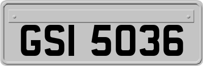 GSI5036